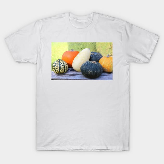 pumpkins and gourds T-Shirt by pinkal